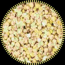 Thé Tip Top Thé Blanc